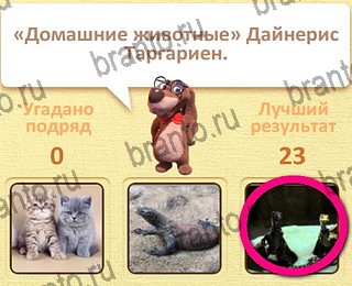 Пушистые вопросы ответы уровень 1