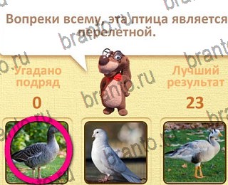 четыре фото 1 слово в Одноклассниках ответы уровень 11