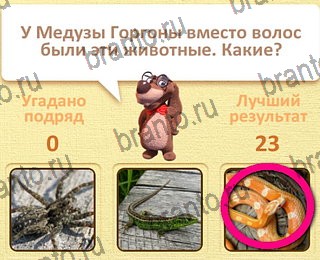 Пушистые вопросы все отгадки Одноклассники уровень 19