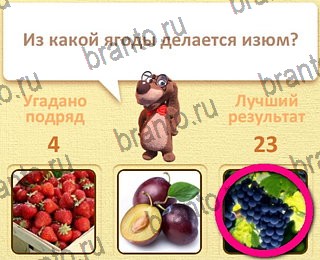 Пушистые вопросы игра в Одноклассниках помощь уровень 5