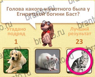 Пушистые вопросы все отгадки Одноклассники уровень 19