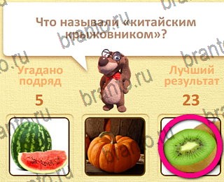 Пушистые вопросы все ответы уровень 23