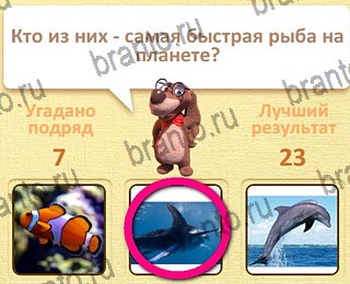 ответы на все уровни игры Пушистые вопросы уровень 25