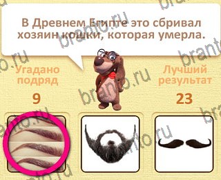 Пушистые вопросы ответы уровень 10