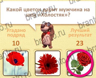 четыре фото 1 слово в Одноклассниках ответы уровень 11