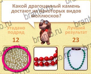 Пушистые вопросы Одноклассники подсказки уровень 13