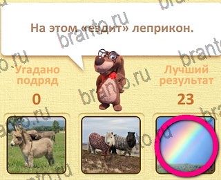 Пушистые вопросы в Одноклассниках помощь уровень 16