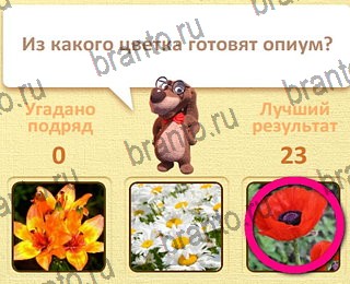 Пушистые вопросы ответы уровень 1