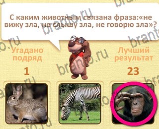 Пушистые вопросы ВК ответ на уровень 2