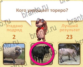 Пушистые вопросы Одноклассники подсказки уровень 3