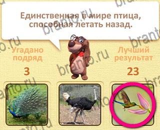 Одноклассники Пушистые вопросы ответ на уровень 4