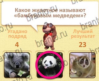 Пушистые вопросы игра в Одноклассниках помощь уровень 5