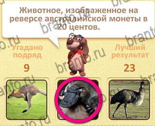 Пушистые вопросы ответы уровень 10