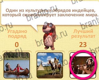 Пушистые вопросы ответы уровень 1