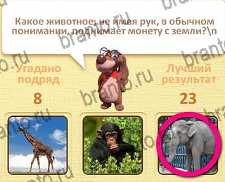 игра Пушистые вопросы Одноклассники ответы уровень 9