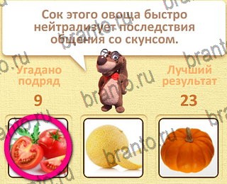 Пушистые вопросы ответы уровень 10