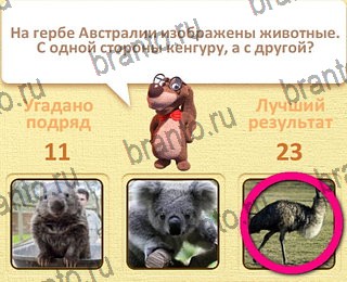 в Одноклассниках Пушистые вопросы ответы на игру уровень 12