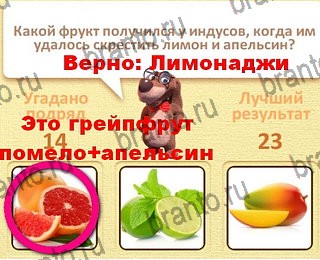 Пушистые вопросы помощь уровень 15