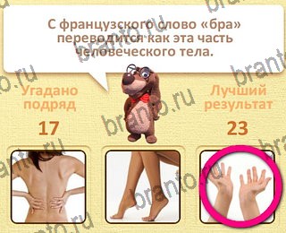 Пушистые вопросы Одноклассники решения на игру уровень 18