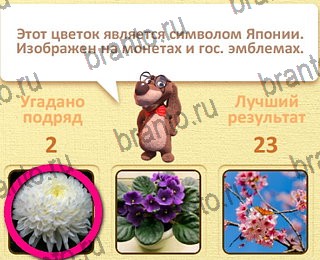 Пушистые вопросы Одноклассники подсказки уровень 3