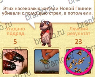 Одноклассники Пушистые вопросы решебник к игре Одноклассники уровень 6