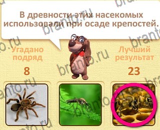 игра Пушистые вопросы Одноклассники ответы уровень 9