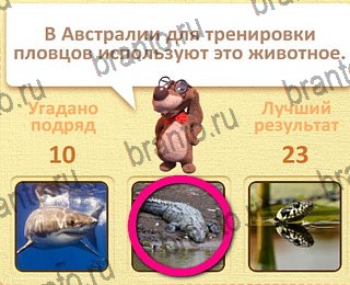 четыре фото 1 слово в Одноклассниках ответы уровень 11