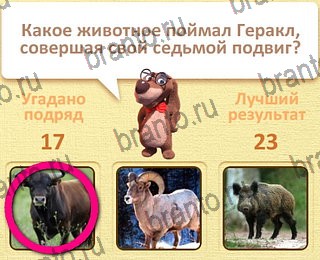 Пушистые вопросы Одноклассники решения на игру уровень 18