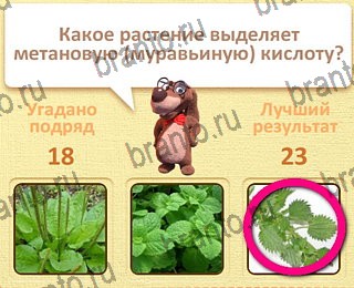 Пушистые вопросы все отгадки Одноклассники уровень 19