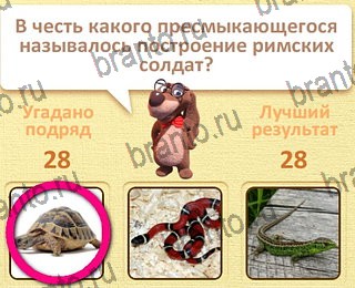 Пушистые вопросы игра ответы уровень 29