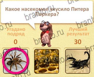 Пушистые вопросы ответы уровень 1