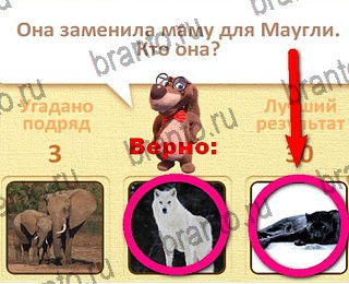 в Одноклассниках Пушистые вопросы ответы на игру уровень 12