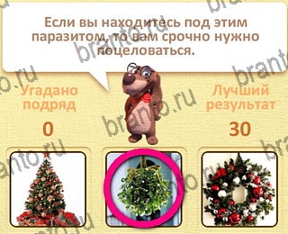 Пушистые вопросы помощь уровень 15