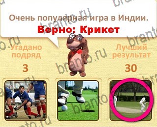 игра Пушистые вопросы разгадки на все задания уровень 22