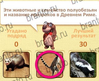 ответы на все уровни игры Пушистые вопросы уровень 25