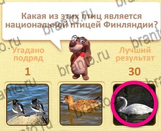 подсказки на все уровни игры Пушистые вопросы уровень 26