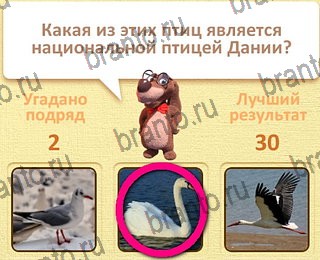 все решения к игре Пушистые вопросы уровень 27