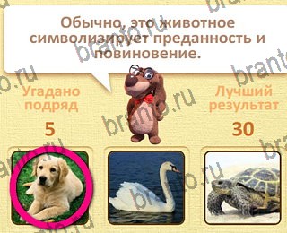 игра Пушистые вопросы ответы уровень 30