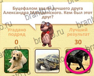 Пушистые вопросы Одноклассники подсказки уровень 3