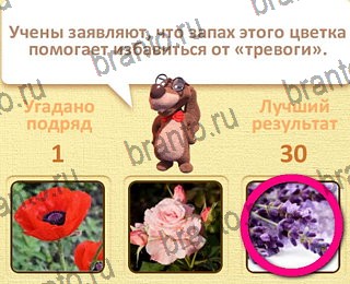 Пушистые вопросы ответы уровень 10