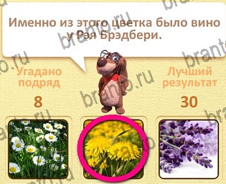 игра Пушистые вопросы Одноклассники ответы уровень 9