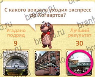 Пушистые вопросы ответы уровень 10