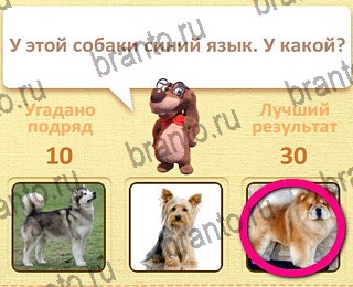 четыре фото 1 слово в Одноклассниках ответы уровень 11