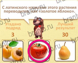 Пушистые вопросы все отгадки Одноклассники уровень 19