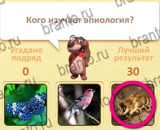 Пушистые вопросы все ответы уровень 23