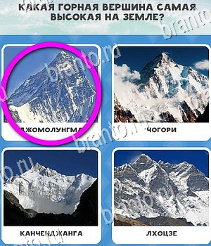 Подсказки на игру Всё обо всём ВК Уровень 63