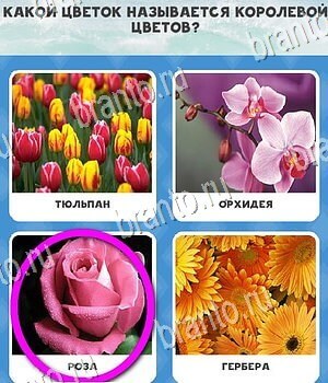 ответы к игре Всё обо всём Уровень 66