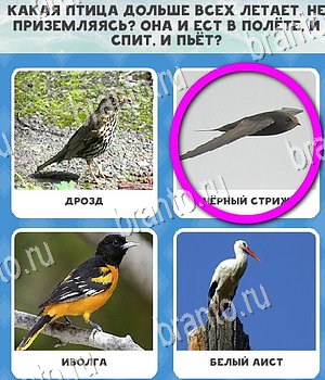 Всё обо всём игра ответы в одноклассниках Уровень 68