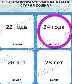 ВК Всё обо всём ответы Уровень 69