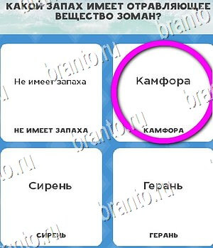 решебник на игру Всё обо всём Уровень 132